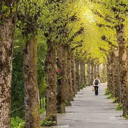 Dinbnb I 2 Balconies I Newly Renovated I Urban Location Берген