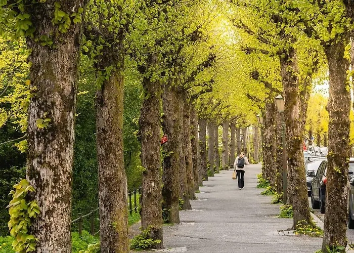 Dinbnb I 2 Balconies I Newly Renovated I Urban Location Берген